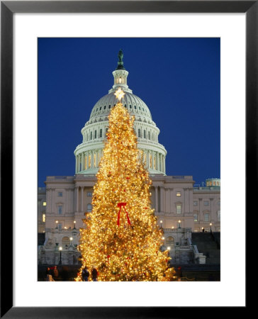 View Of The National Christmas Tree Standing Before The Capitol by Richard Nowitz Pricing Limited Edition Print image