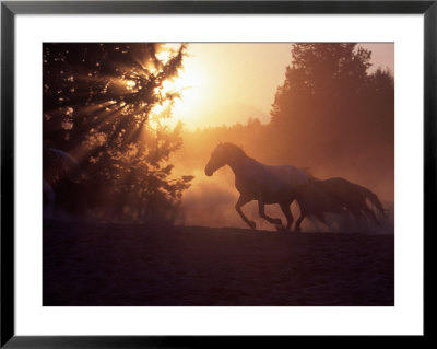 Two Silhouetted Horses Running by Inga Spence Pricing Limited Edition Print image