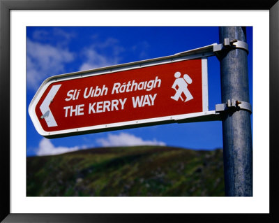 Kerry Way Signpost, Waterville, Ireland by Richard Cummins Pricing Limited Edition Print image