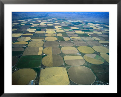 Overhead Of Fields Marked By Irrigation Circles, San Luis Valley, Usa by Jim Wark Pricing Limited Edition Print image
