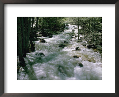 Water Cascading Down A Forest Creek by Marc Moritsch Pricing Limited Edition Print image