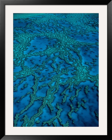 Aerial Of Hardy Reef In The Whitsundays On The Great Barrier Reef, Queensland, Australia by Richard I'anson Pricing Limited Edition Print image
