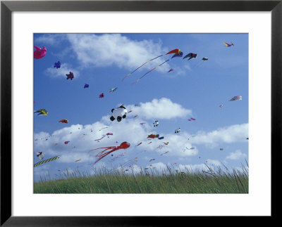 Kites Flying Along The Coastline, International Kite Festival, Long Beach, Washington, Usa by John & Lisa Merrill Pricing Limited Edition Print image