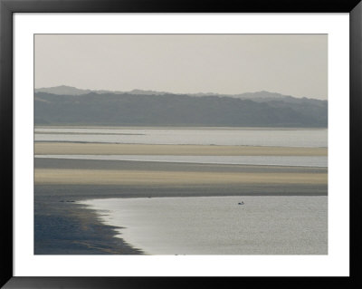 Australian Pelican Dwarfed By Tidal Mud Flat by Jason Edwards Pricing Limited Edition Print image