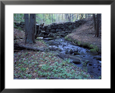 Banks Of Lamprey River, National Wild And Scenic River, New Hampshire, Usa by Jerry & Marcy Monkman Pricing Limited Edition Print image