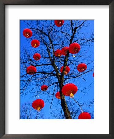 Chinese Lanterns Hanging From Trees In Tivoli Gardens, Copenhagen, Denmark by Izzet Keribar Pricing Limited Edition Print image