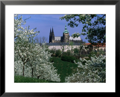 Prague Castle And Cherry Blossoms Of Petrin Hill, Prague, Czech Republic by Richard Nebesky Pricing Limited Edition Print image