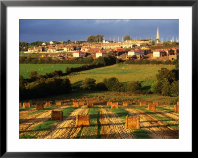 The Town Of Templetown On The Hook Peninsula, County Wexford, Ireland by Doug Mckinlay Pricing Limited Edition Print image