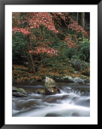 Little River, Great Smoky Mountain National Park, Tn by Jack Hoehn Jr. Pricing Limited Edition Print image