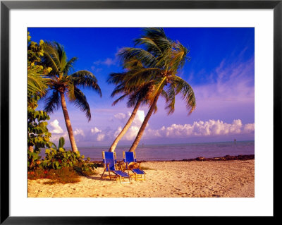 Palm Trees And Beach Chairs, Florida Keys, Florida, Usa by Terry Eggers Pricing Limited Edition Print image