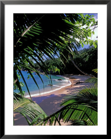 Tropical Foliage And Beach, Seychelles by Nik Wheeler Pricing Limited Edition Print image