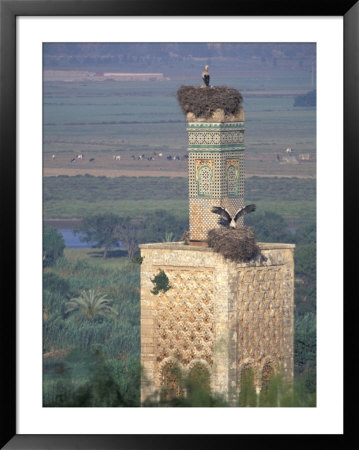 Tower With Birds And Bird Nests, Morocco by John & Lisa Merrill Pricing Limited Edition Print image