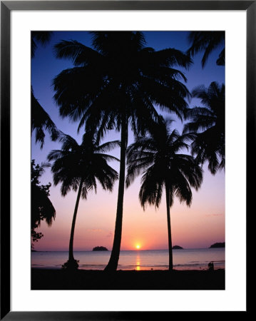 Palm Tree-Lined Hat Kaibae At Sunset, Thailand by Pershouse Craig Pricing Limited Edition Print image