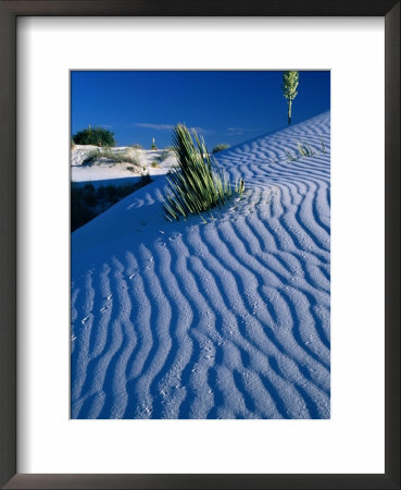 Rippled White Sand Dune With Plants Pushing Through, White Sands National Monument, Usa by Carol Polich Pricing Limited Edition Print image