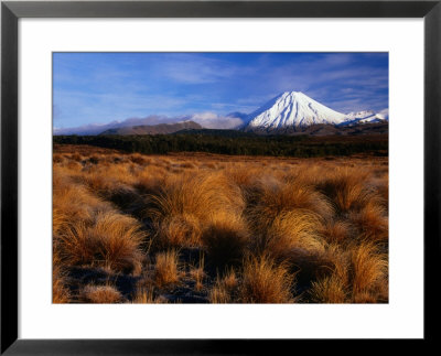 Mt. Ngauruhoe Through Grassy Landscape, Tongariro National Park, Manawatu-Wanganui, New Zealand by David Wall Pricing Limited Edition Print image