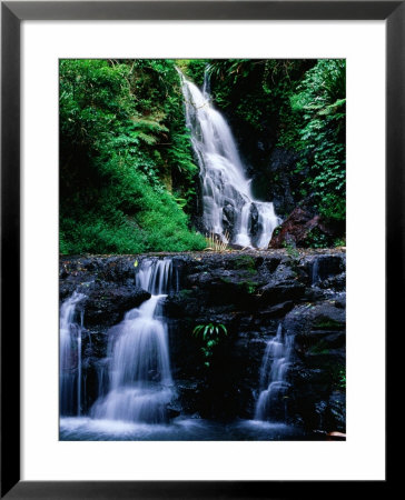 Elebana Falls And Surrounding Vegetation, Lamington National Park, Australia by Paul Sinclair Pricing Limited Edition Print image