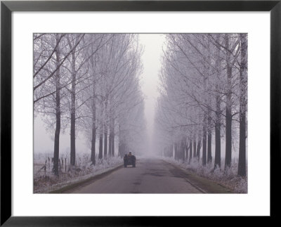 Wagon On Misty And Icy Road, Suceava County, Romania by Gavriel Jecan Pricing Limited Edition Print image