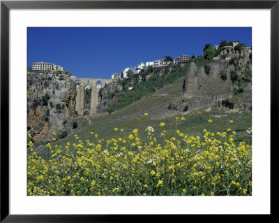 Wildflowers In El Tajo Gorge And Punte Nuevo, Ronda, Spain by John & Lisa Merrill Pricing Limited Edition Print image