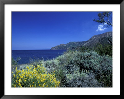 Broom Flowers And The Mediterranean Sea, Sicily, Italy by Michele Molinari Pricing Limited Edition Print image