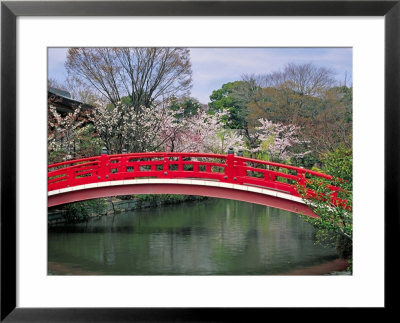 Spring Season, Kyoto, Japan by Shin Terada Pricing Limited Edition Print image