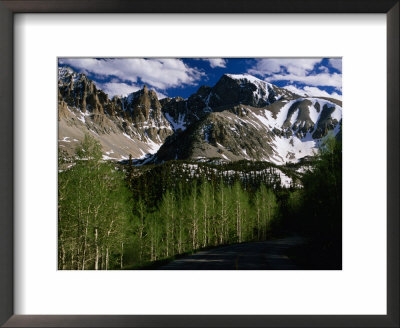Wheeler Peak And Trees, Great Basin National Park, Nevada, Usa by Stephen Saks Pricing Limited Edition Print image