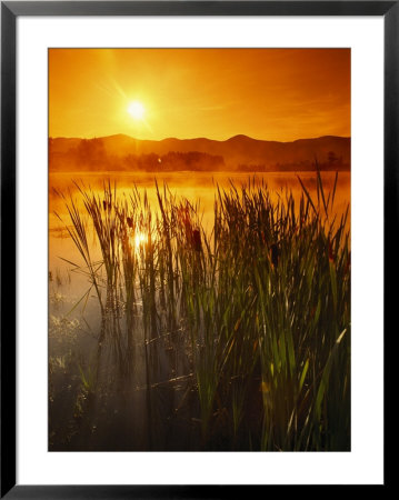 Sunrise Over A Misty Pond And The Presidential Mountains by Richard Nowitz Pricing Limited Edition Print image