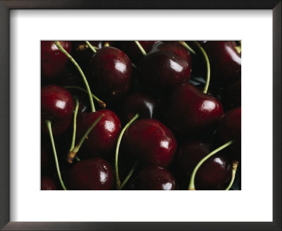 Fresh Sweet Cherries With Stems by Taylor S. Kennedy Pricing Limited Edition Print image