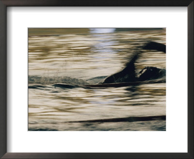 A Swimmer Does The Crawl by Dugald Bremner Pricing Limited Edition Print image