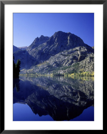 Fall Colors, Mammoth, Bishop Sierra, Nv And Ca by Jim Vitali Pricing Limited Edition Print image