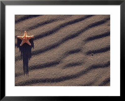 Starfish On Beach by Bill Bonebrake Pricing Limited Edition Print image