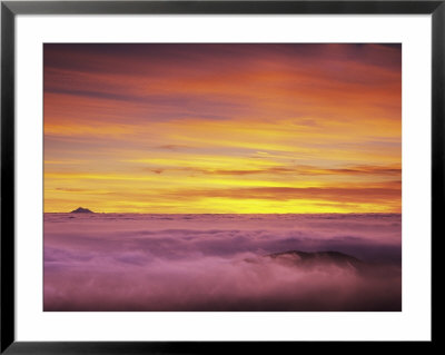 Mt. Baker Peeks Above The Clouds In Olympic National Park, Washington, Usa by Dennis Flaherty Pricing Limited Edition Print image