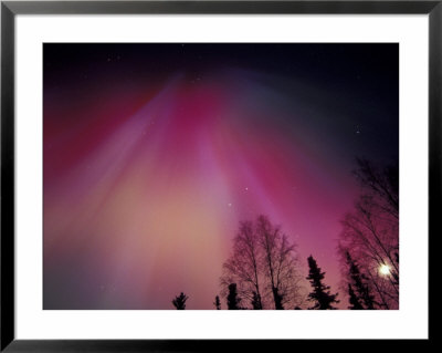 Curtains Of Colorful Northern Lights Above Fairbanks, Alaska, Usa by Hugh Rose Pricing Limited Edition Print image