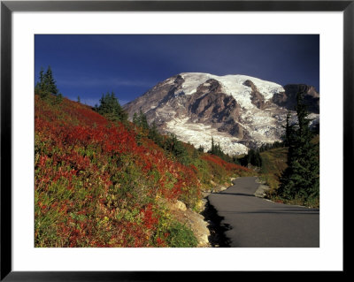 Mt. Rainier With Skyline Trail, Mt. Rainier National Park, Washington, Usa by Jamie & Judy Wild Pricing Limited Edition Print image