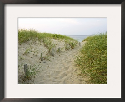 Path At Head Of The Meadow Beach, Cape Cod National Seashore, Massachusetts, Usa by Jerry & Marcy Monkman Pricing Limited Edition Print image
