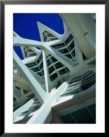 Detail Of The City Of Arts And Sciences Building, Valencia, Spain by Setchfield Neil Pricing Limited Edition Print image