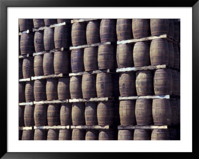 Bacardi Rum Ages In Oak Barrels, San Juan, Puerto Rico by Michele Molinari Pricing Limited Edition Print image