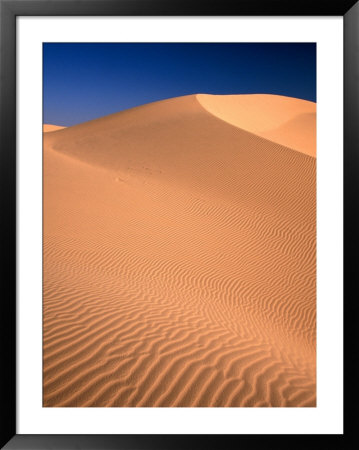 Algodones Dunes In Imperial Sand Dunes Recreation Area, California, Usa by Mark Newman Pricing Limited Edition Print image