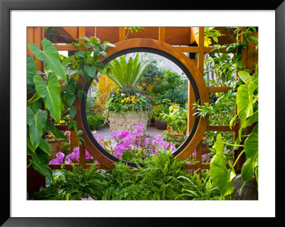 Inside The San Francisco Conservatory Of Flowers, San Francisco, California, Usa by Julie Eggers Pricing Limited Edition Print image