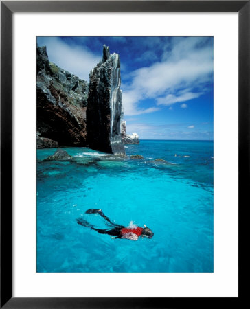 Snorkeler, Isla Tortuga, Galapagos Islands, Ecuador by Jack Stein Grove Pricing Limited Edition Print image