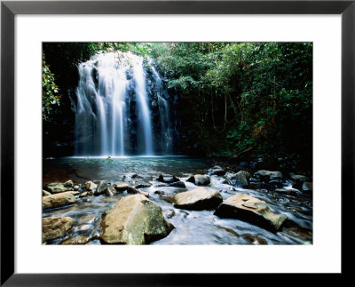 Millaa Millaa Falls, Atherton Tablelands, Queensland, Australia by Holger Leue Pricing Limited Edition Print image