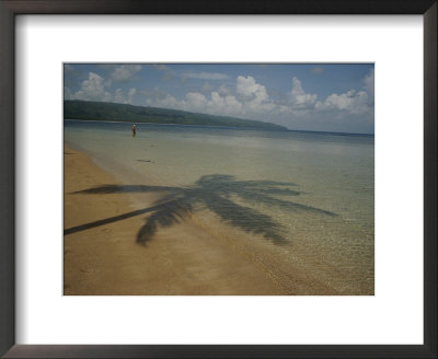 A Palm Tree Casts A Shadow Over A Beach by Raul Touzon Pricing Limited Edition Print image