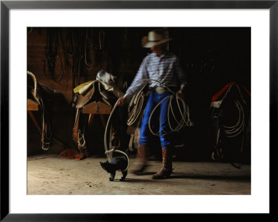 A Cowboy Playfully Lassoes A Kitten by Joel Sartore Pricing Limited Edition Print image