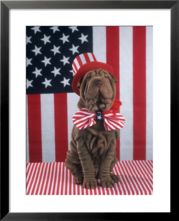 Patriotic Dog Sitting Near American Flag by Richard Stacks Pricing Limited Edition Print image