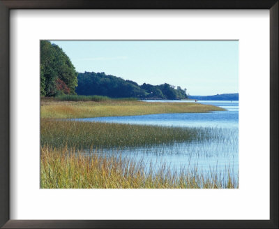 Salt Marsh Bordering The Royal River, Maine, Usa by Jerry & Marcy Monkman Pricing Limited Edition Print image