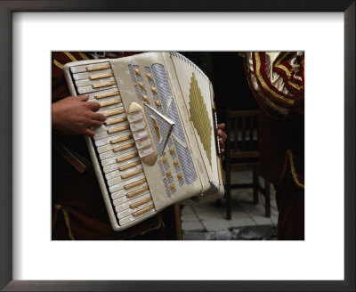 Mexican Musician Playing An Accordion by Gina Martin Pricing Limited Edition Print image