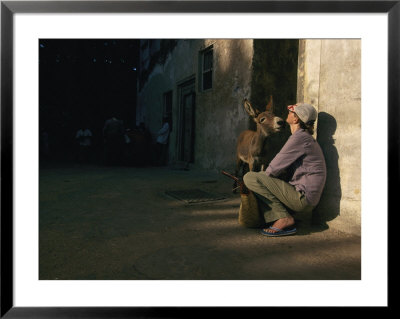 Curious Donkey Inspects A Woman by Bobby Model Pricing Limited Edition Print image