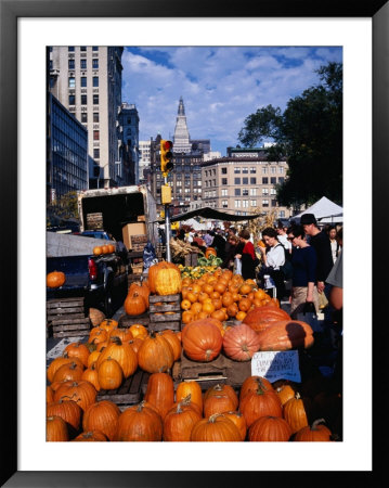 Pumpkins For Sale At Farmers' Market On Union Square, New York City, New York, Usa by Angus Oborn Pricing Limited Edition Print image