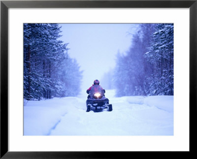 Snowmobile Driving Through Forest, Finland by David Tipling Pricing Limited Edition Print image