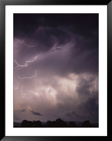 Lightning Flashes Over A Stand Of Trees by Stephen Alvarez Pricing Limited Edition Print image