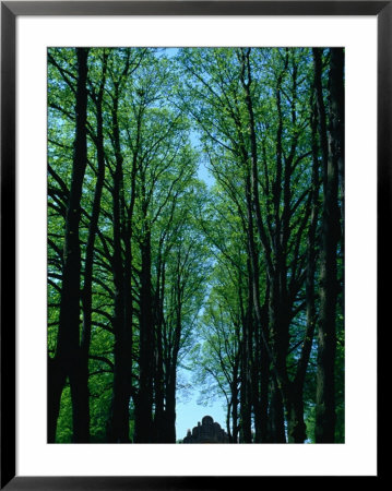 Leafy Avenue Leading To Small Chapel, Denmark by Jon Davison Pricing Limited Edition Print image